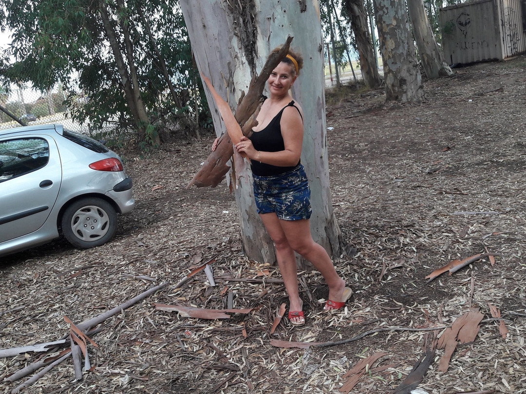 Paralia Boukas-Messini必去景点