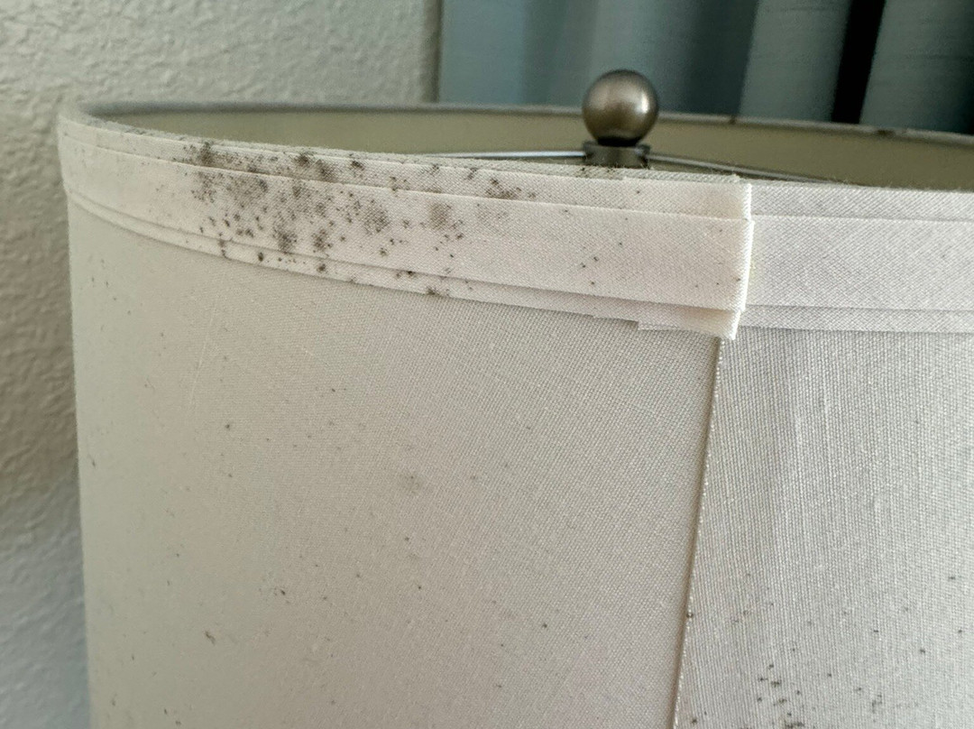 Admiral on Baltimore主图