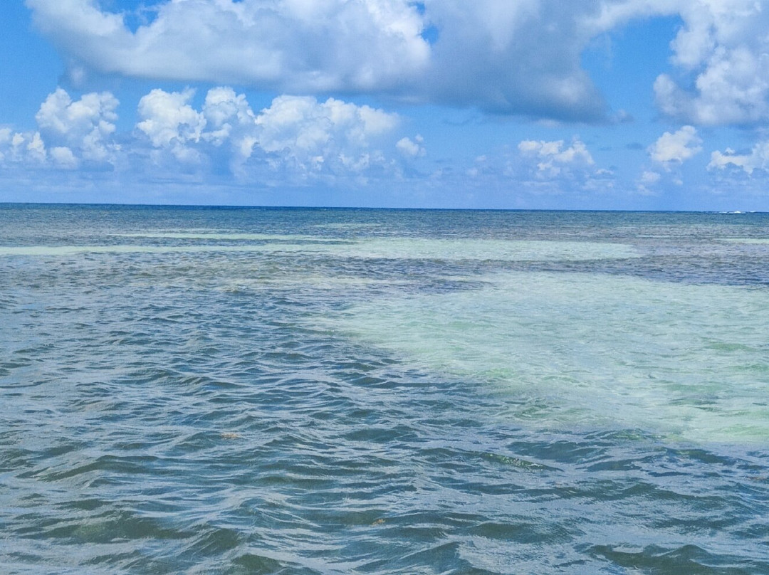 Privilèg'G-Le Francois必去景点