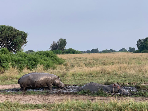 Safari Vacations-坎帕拉必去景点