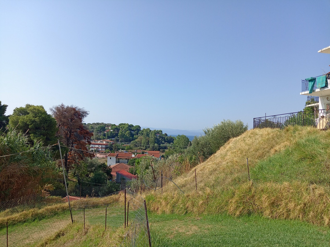 Filia Studios & Apartments主图