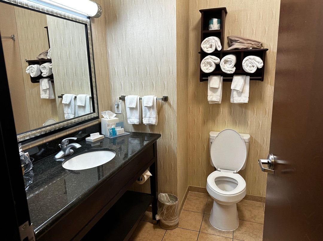 Hampton Inn Sulphur Springs主图