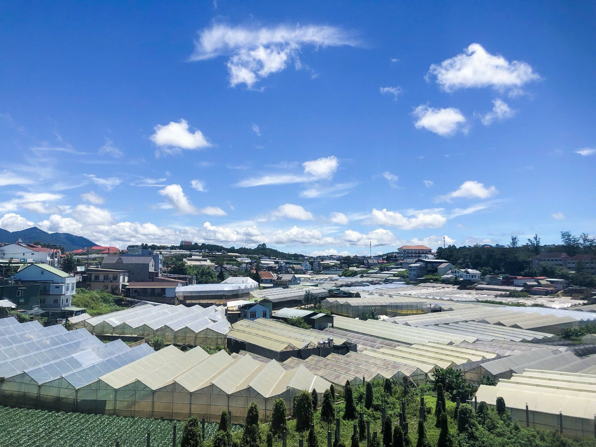 Hotel Da Lat Hodota The Blessed Virgin-酒店景观