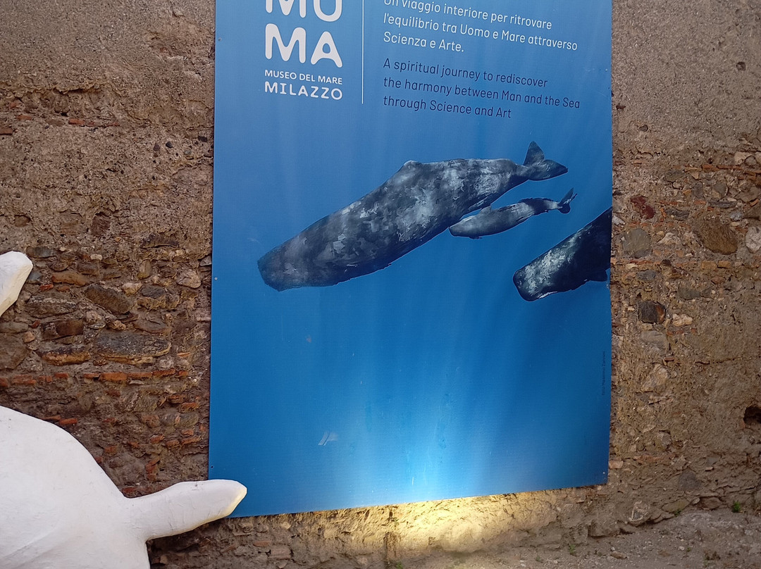 Muma Museo Del Mare Milazzo景点图片