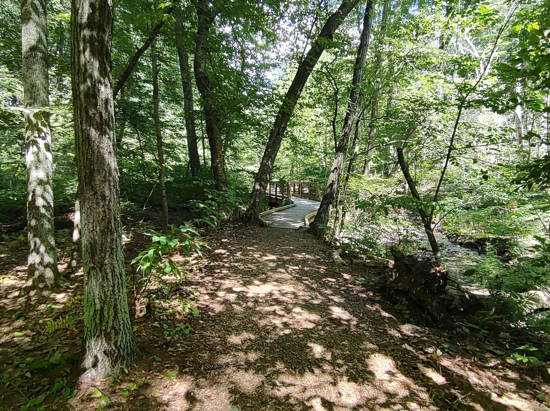 New England Wild Flower Society Garden in the Woods-弗雷明汉必去景点