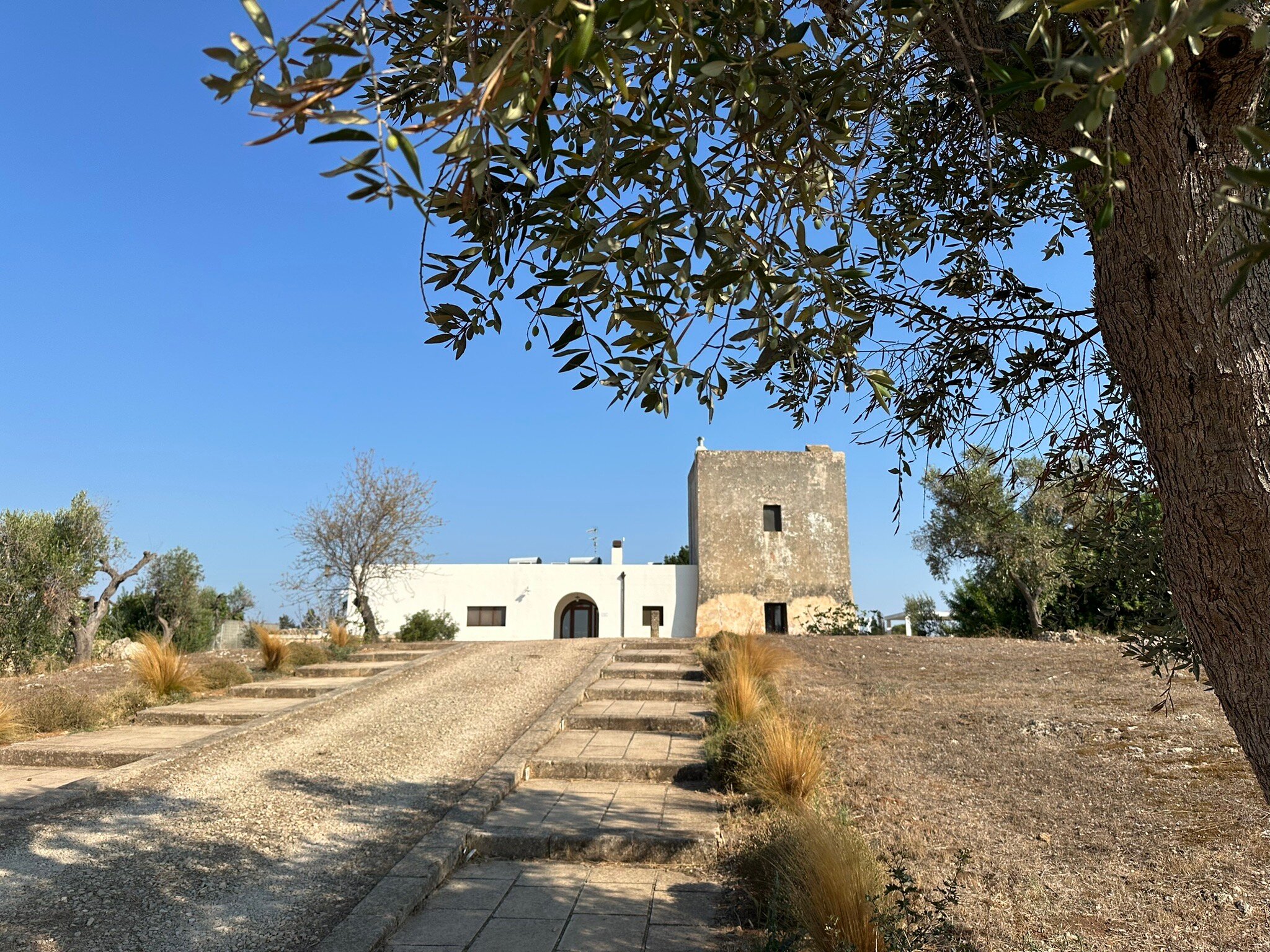 Torre del Cardo-官方