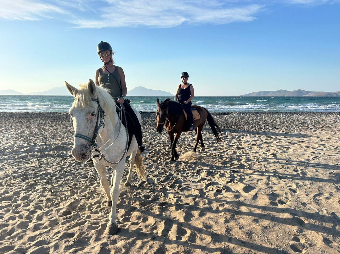 The Ranch Kos Horse Riding景点图片