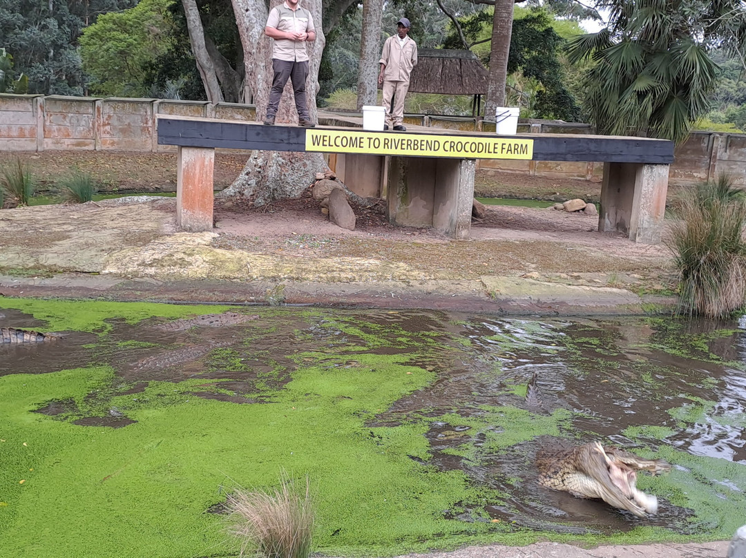 Riverbend Crocodile Farm-南帚必去景点