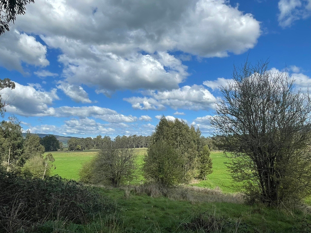 Coranderrk Aboriginal Cemetery And Barak Monument-希尔斯维尔必去景点