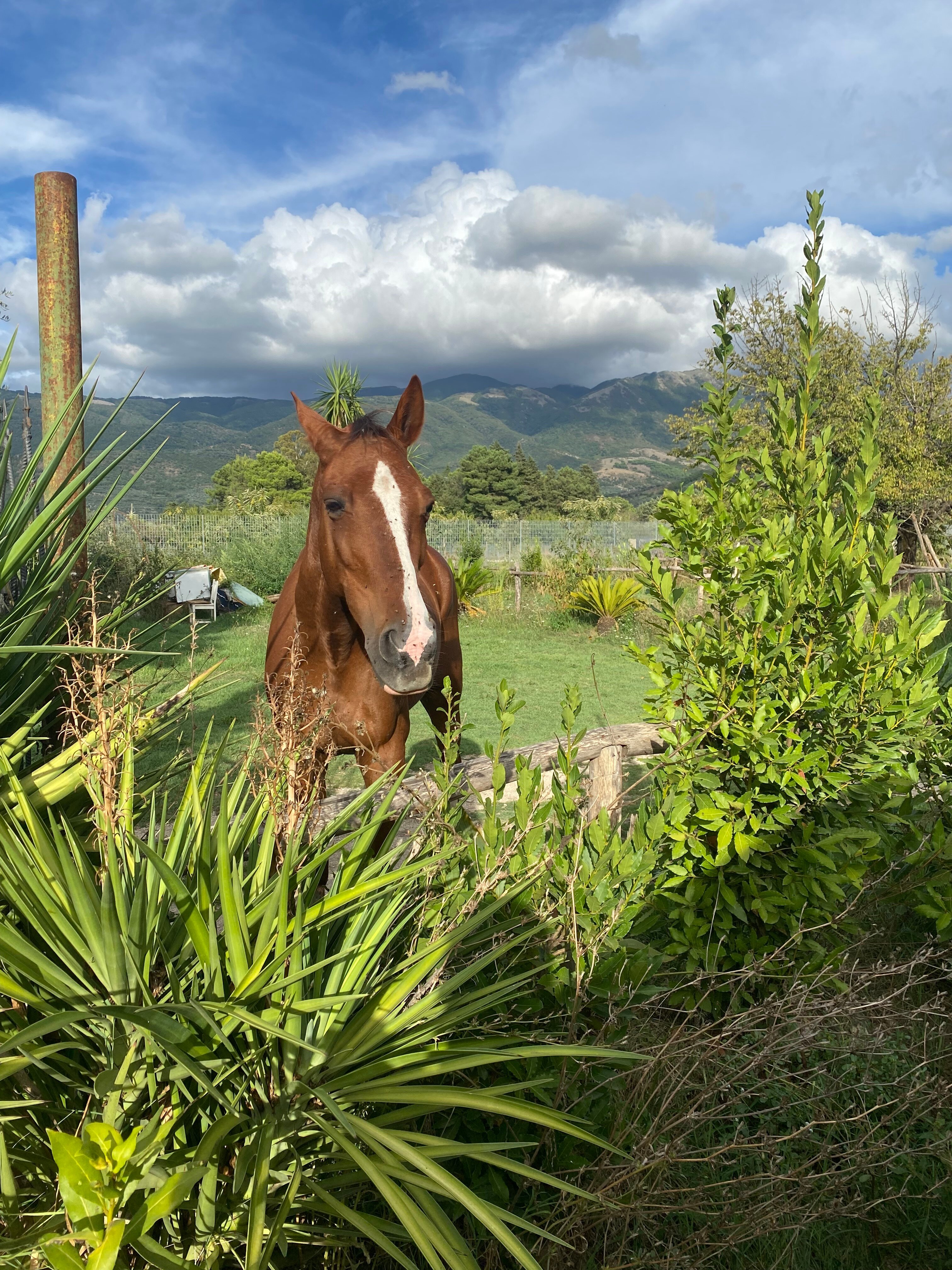 Le Magione B&B-官方
