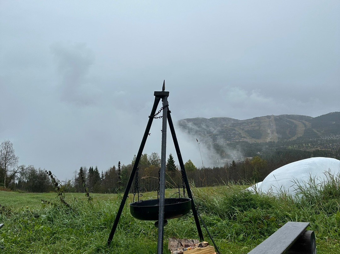 Bjørnerud Fjellgard景点图片