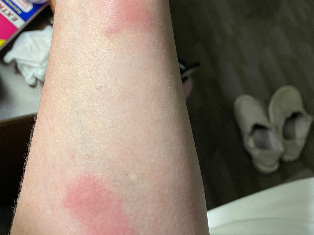 Baymont by Wyndham Minot主图