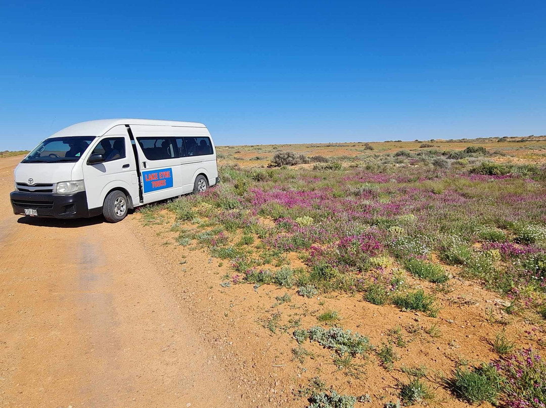 Lake Eyre Tours景点图片