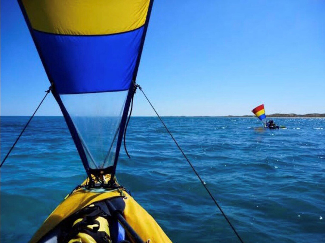 Pedro's Hire & Tours-凯恩斯必去景点