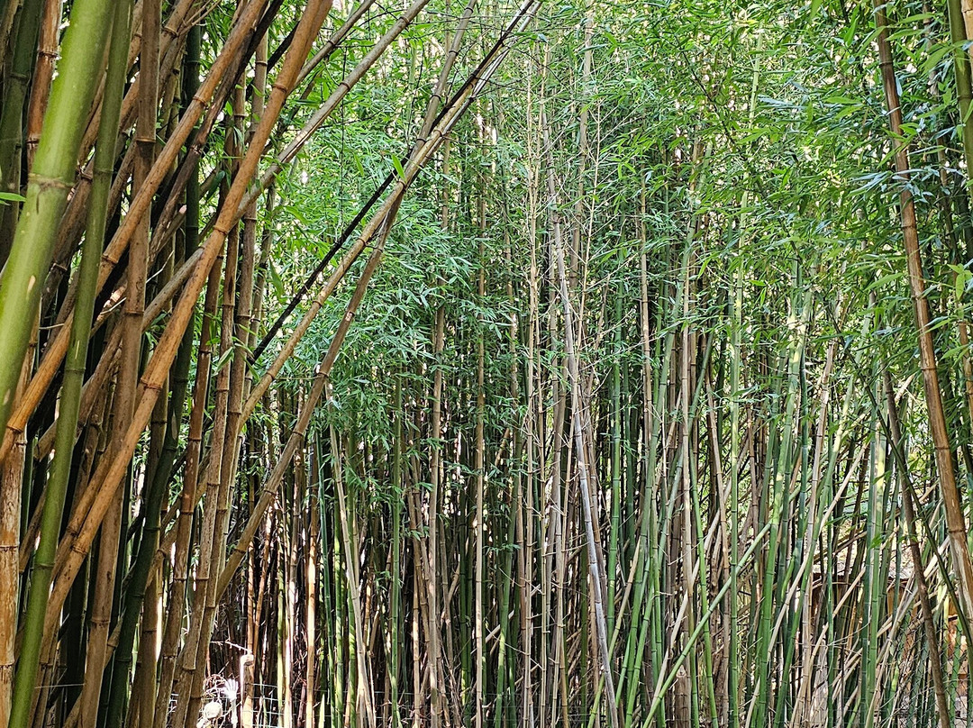 Creation Kingdom Zoo-Gate City必去景点