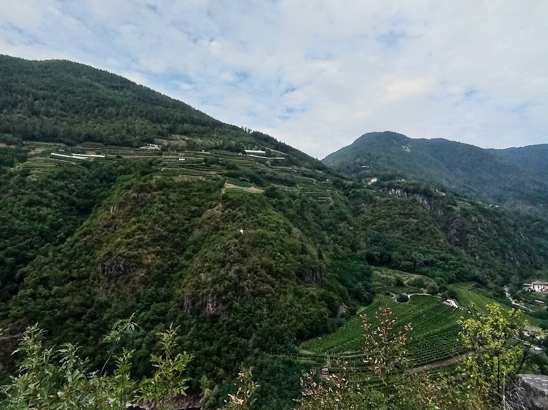 Cantina Barone a Prato dal 1885景点图片