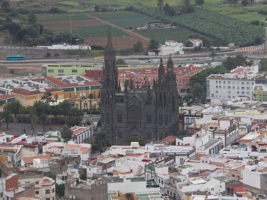 Mirador de Arucas景点图片