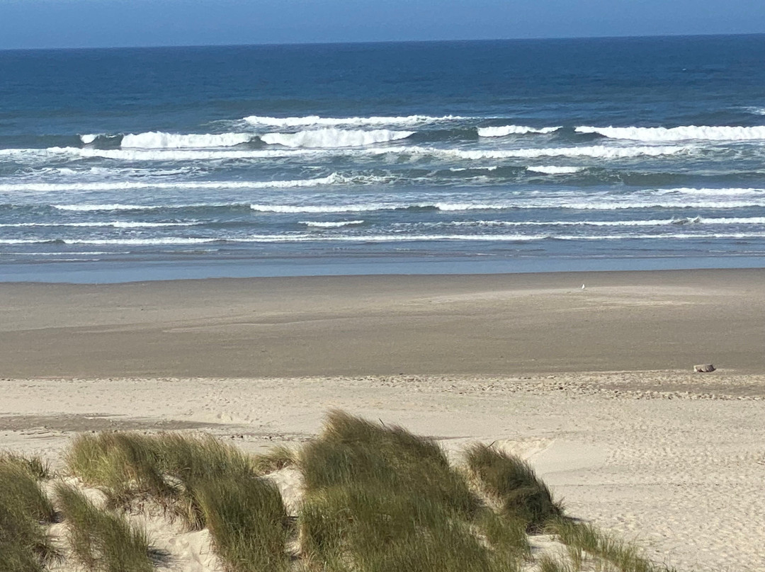 Driftwood Shores Resort & Conference Center主图