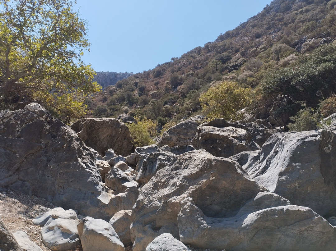 Aposelemis canyon景点图片