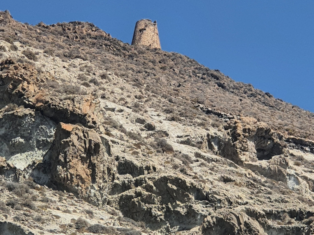 Volcanic Tours景点图片