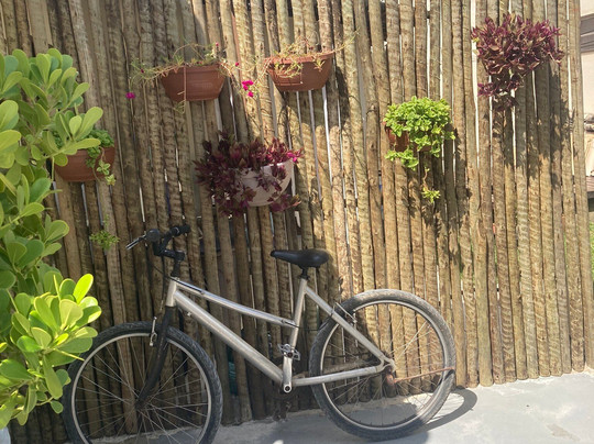 Pousada Refúgio dos Milagres Suítes & Bistro主图