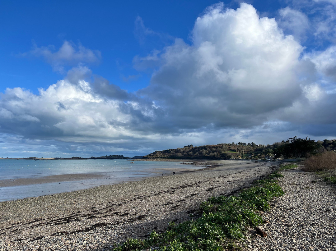 Plage de Launay Réserve Paule Lapicque景点图片