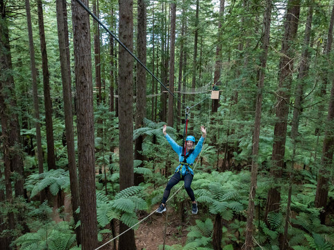 Redwoods Altitude-罗托鲁瓦必去景点