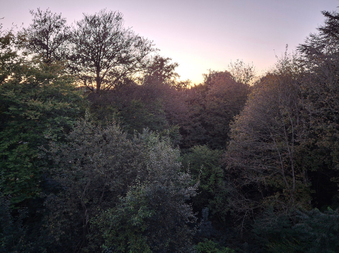 Hôtel l'Ecrin d'Ô主图