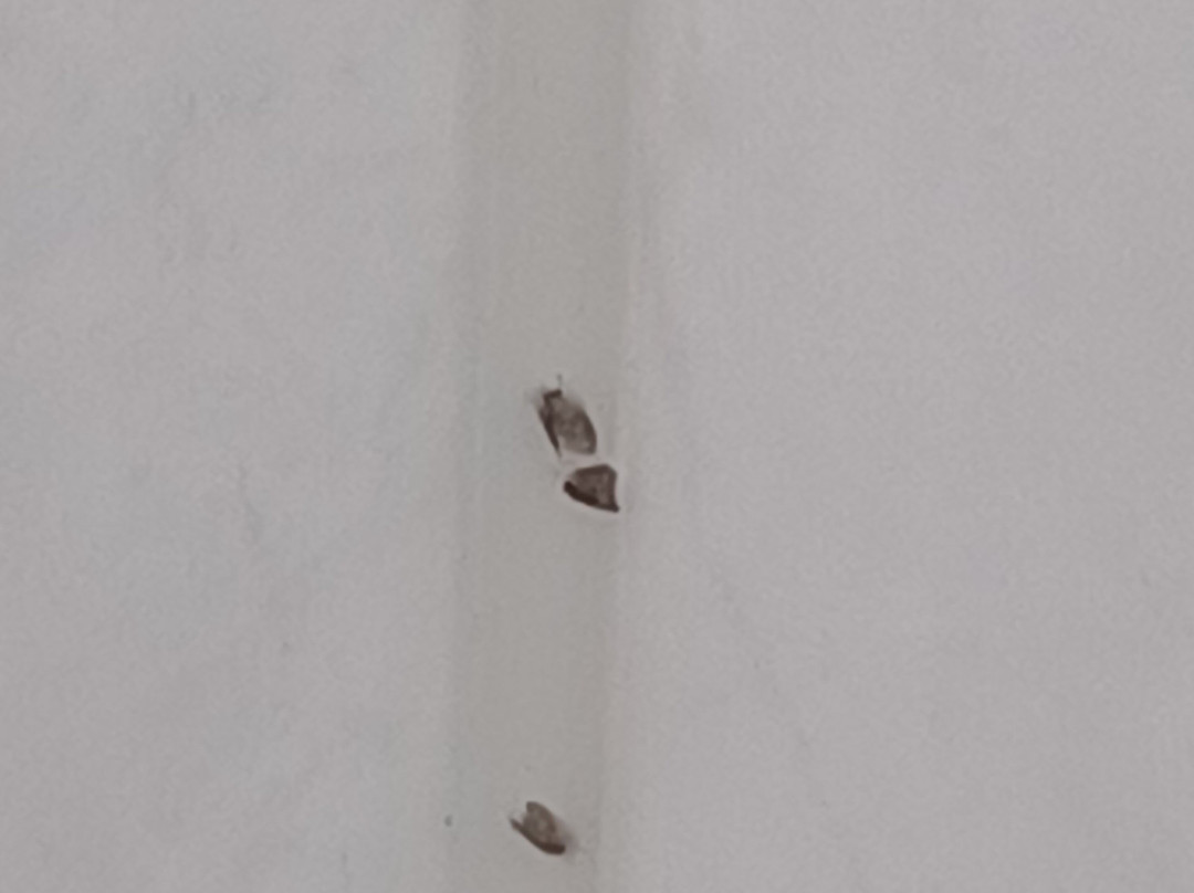 罕布什尔酒店主图