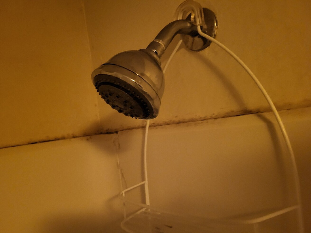 曼彻斯特机场速8酒店主图