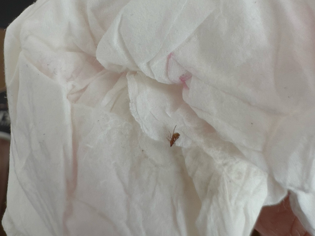 Tower Hotel Apartments主图