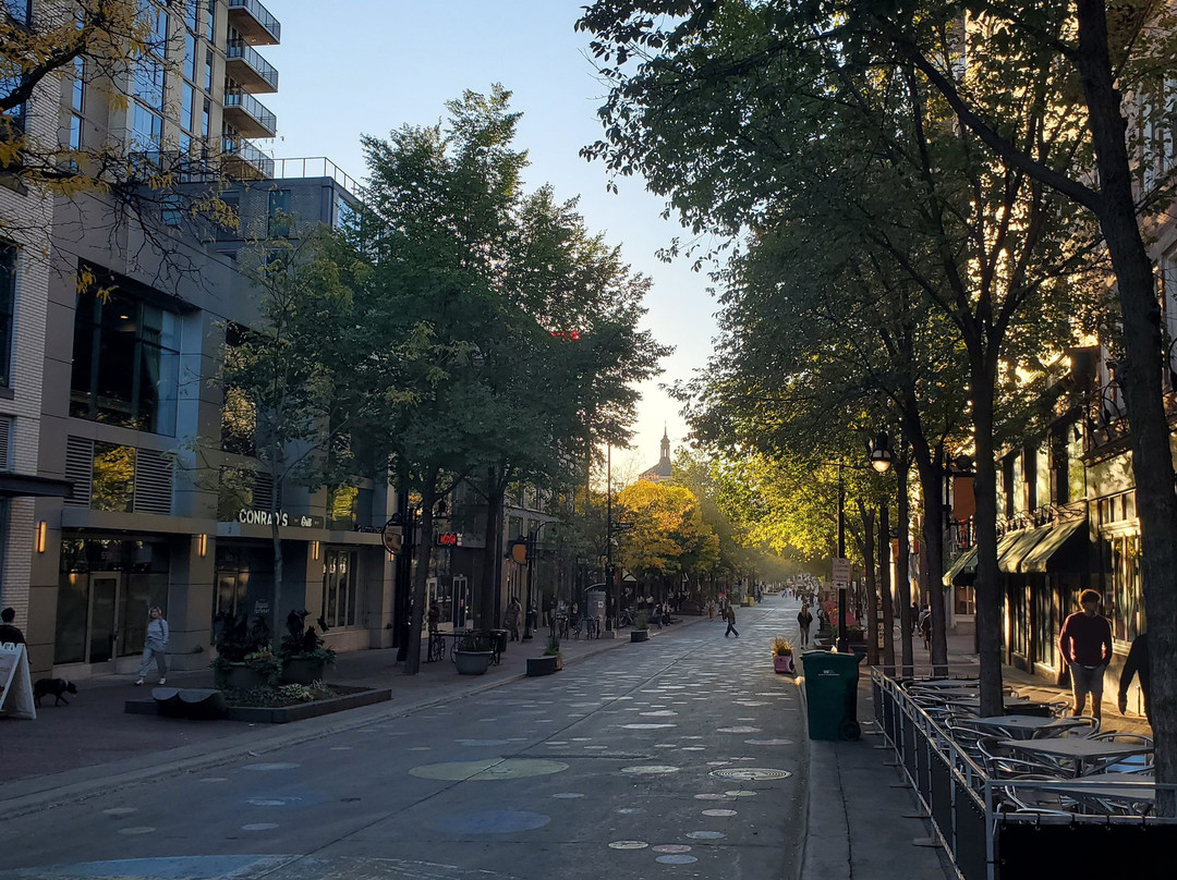 Downtown Madison-麦迪逊必去景点
