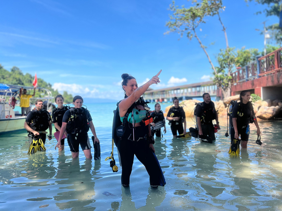 Quiver Dive Team景点图片