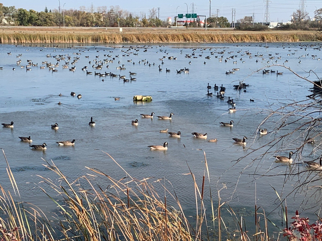Royal Canadian Mint-温尼伯必去景点