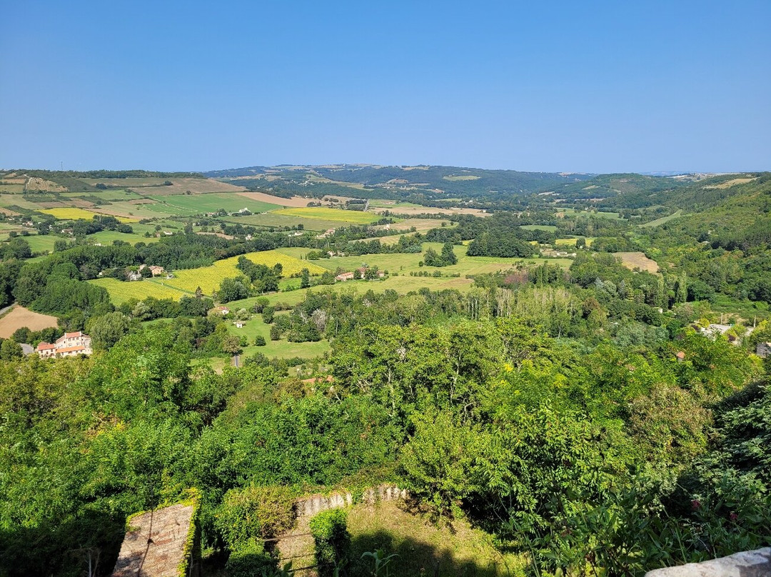 Halle de Cordes-sur-Ciel景点图片