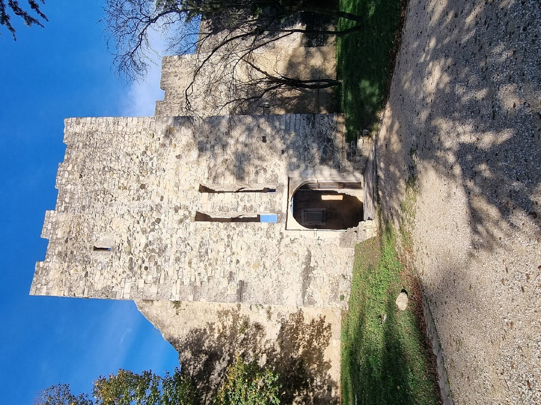 Château de Montélimar景点图片