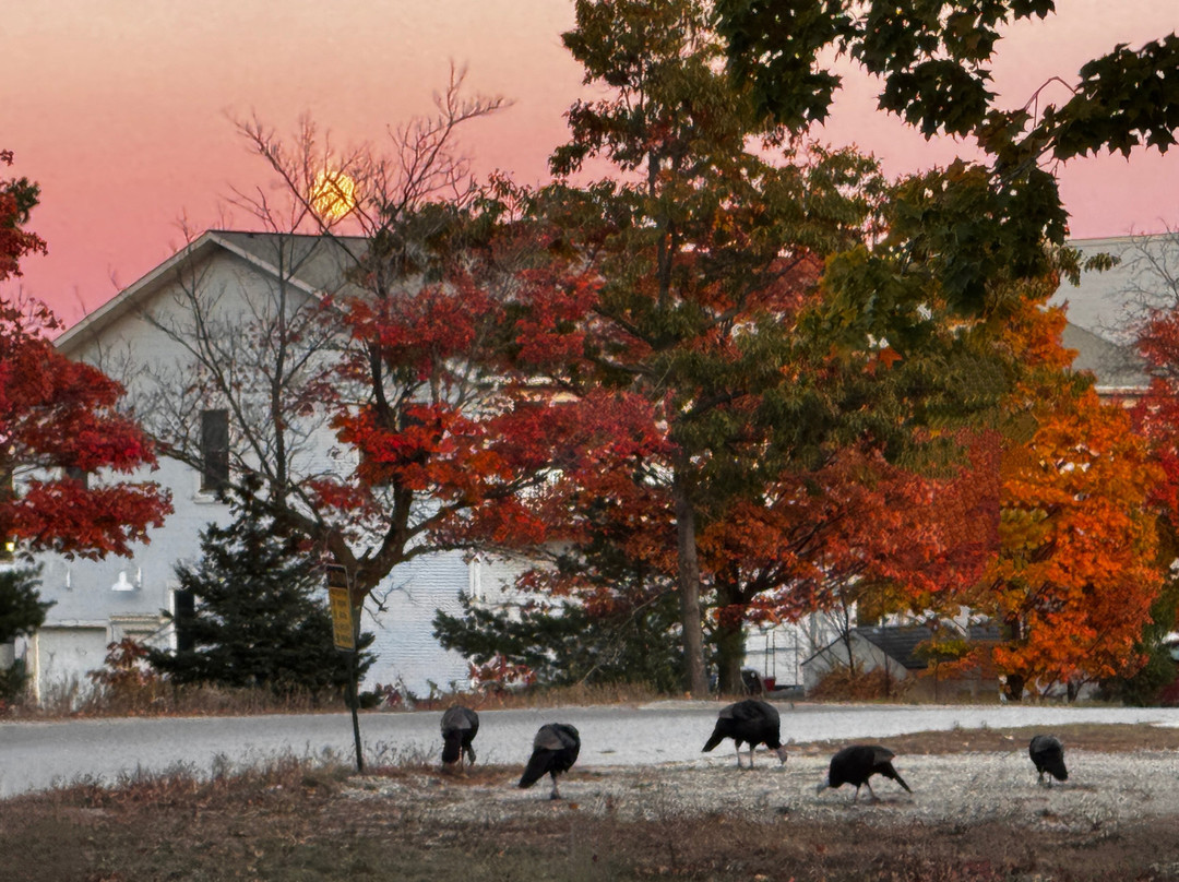 Emerald Island Inn主图