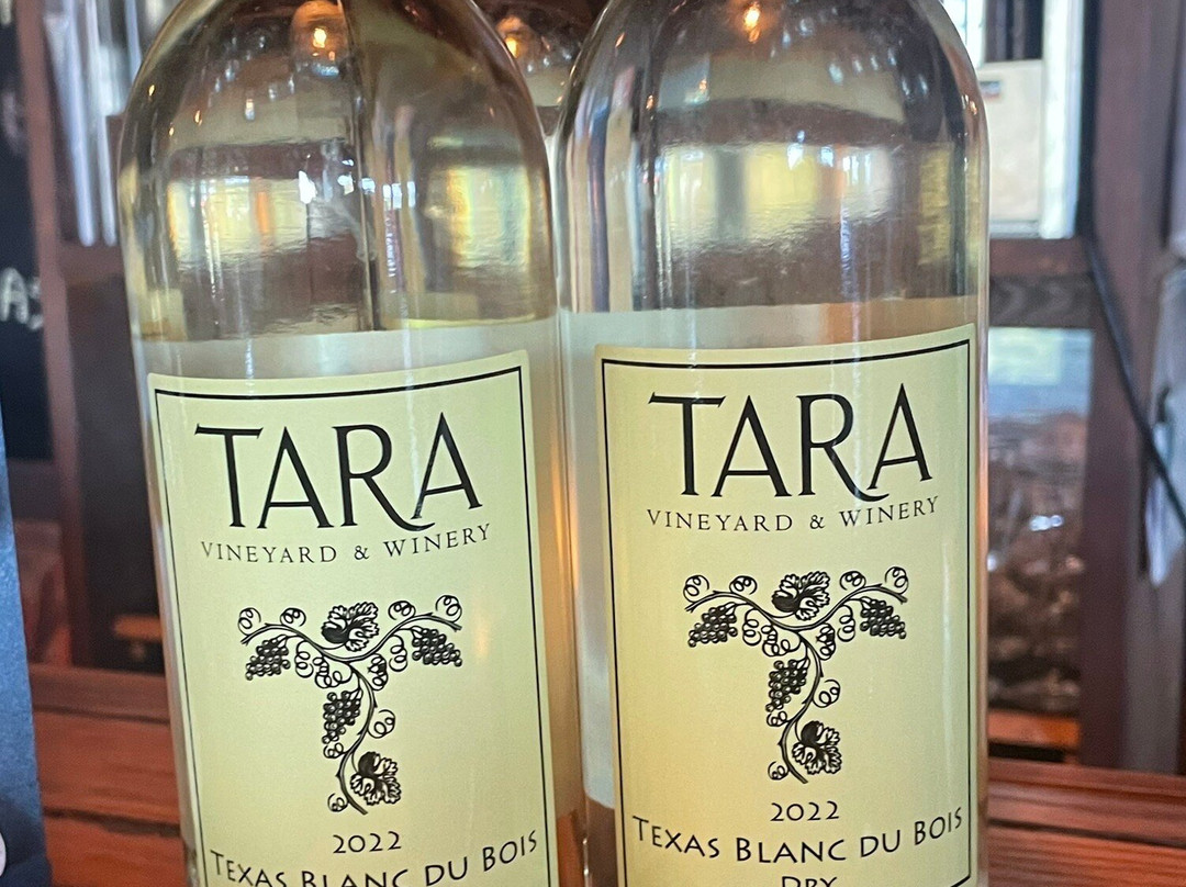 Tara Vineyard & Winery-Athens必去景点