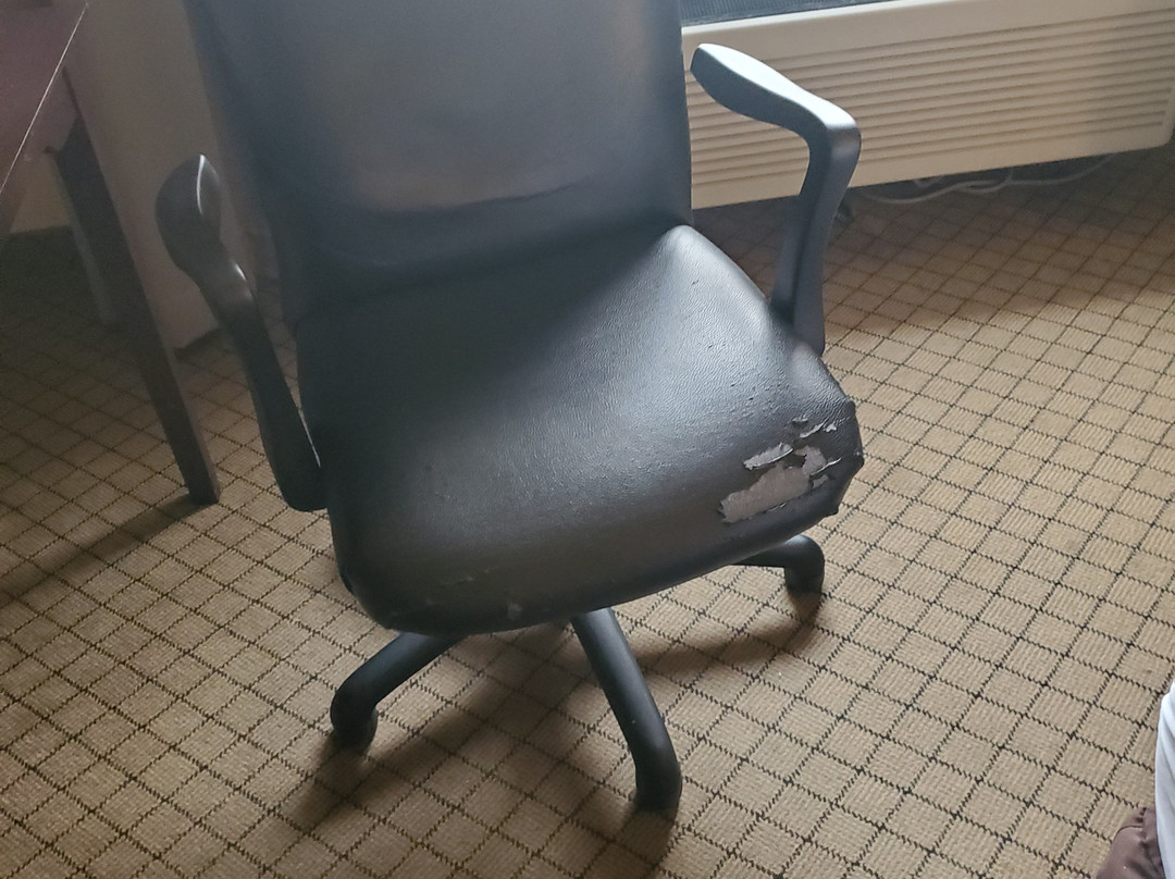 埃尔迈拉江景假日酒店主图