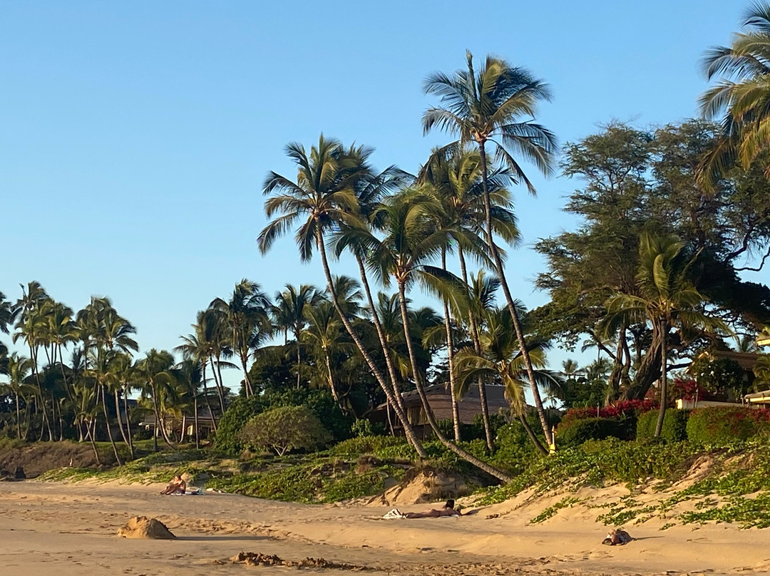 Kamaole Beach Park I-基黑必去景点