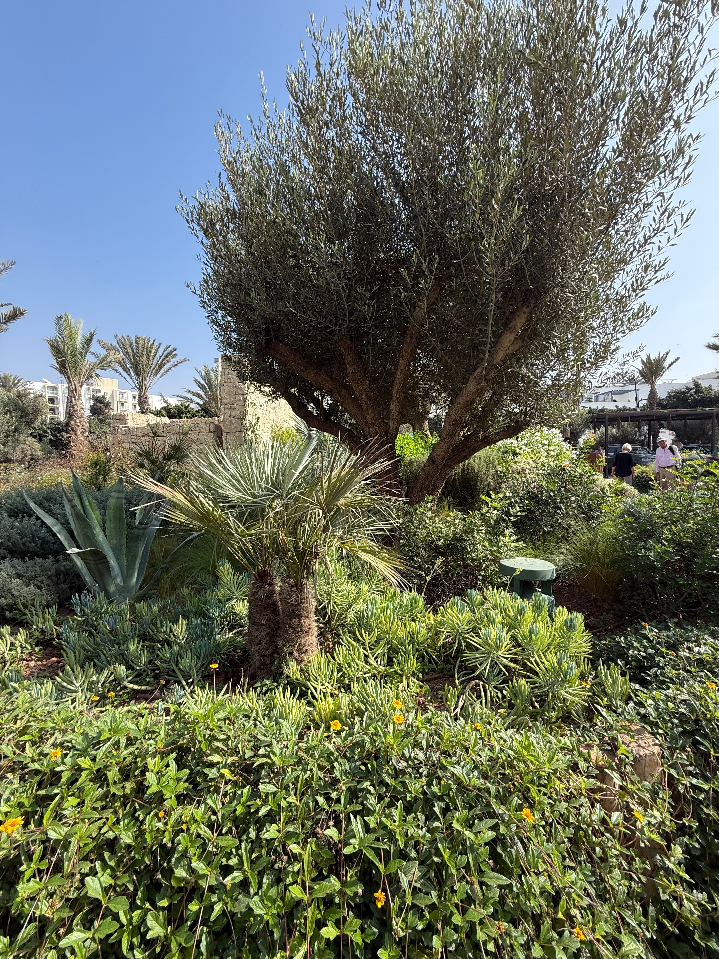 The View Agadir-浴室