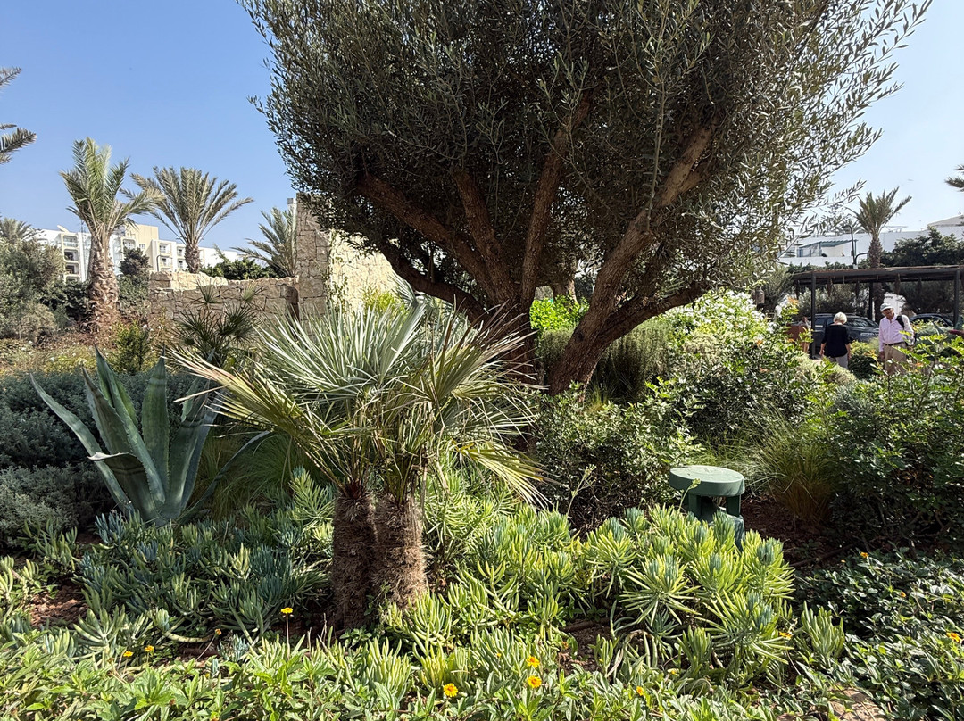 The View Agadir主图