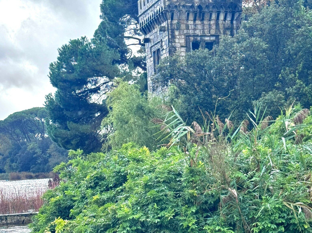 Lake Massaciuccoli景点图片