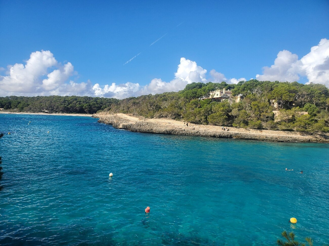 普拉亚蒙卓葛酒店(Playa Mondrago Hotel Apartments)主图