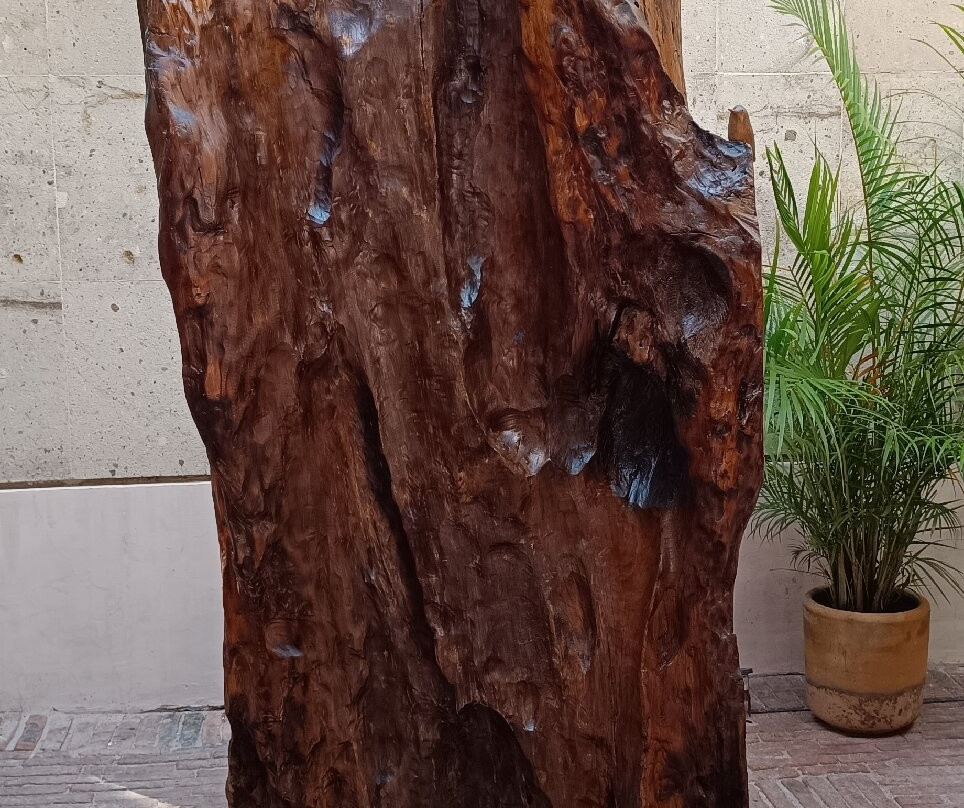 El Recinto Hotel主图