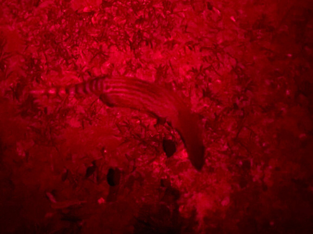 Hotel Rhino Land主图