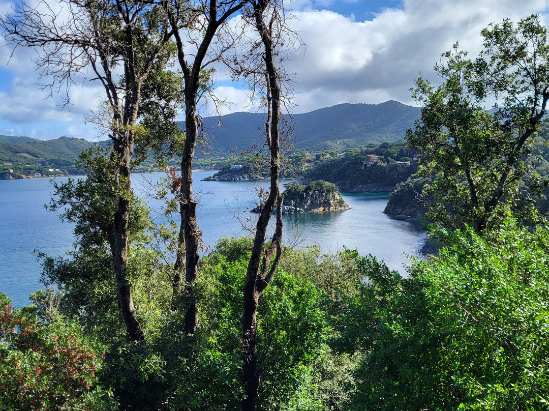 Grifo Tour - Centro Guide in Toscana-比萨必去景点