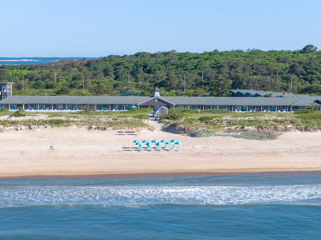 Driftwood on the Ocean