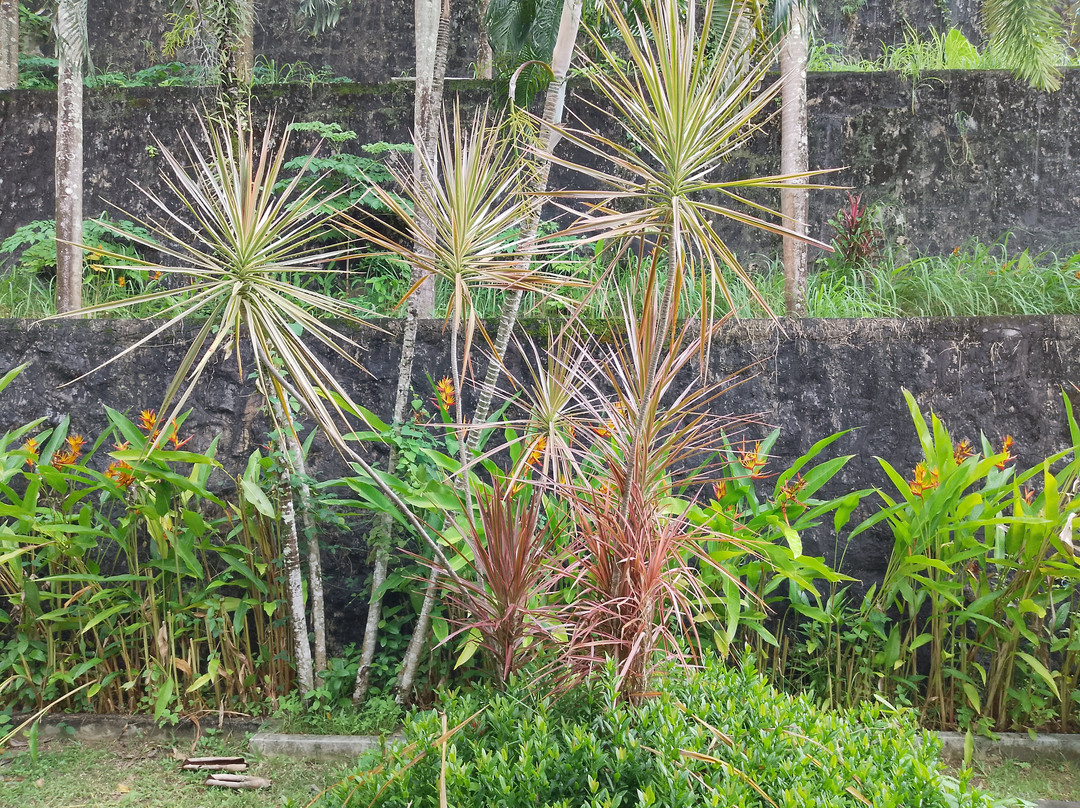 Memory Karon Resort主图