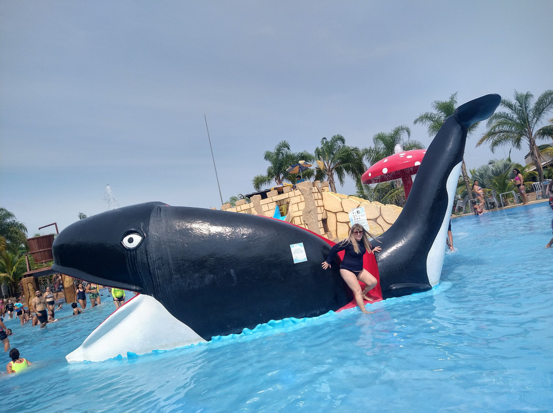 Termas Pacu Parque Aquático & Pesca-Mineiros do Tiete必去景点